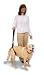 Pet Supplies : Petmate Bottom'S Up Leash Osfa, Black