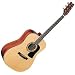 D10S Acoustic Guitar Natural