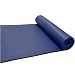 BodyTrends Pilates/Yoga Mat 3/8 inch