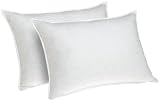 Pike Street 233-Thread Count Quilted Feather/Down Jumbo Pillow, Set of 2