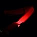 Garten & Freizeit : LED Neon Hundehalsband Orange Deluxe M: 50 - 59 cm