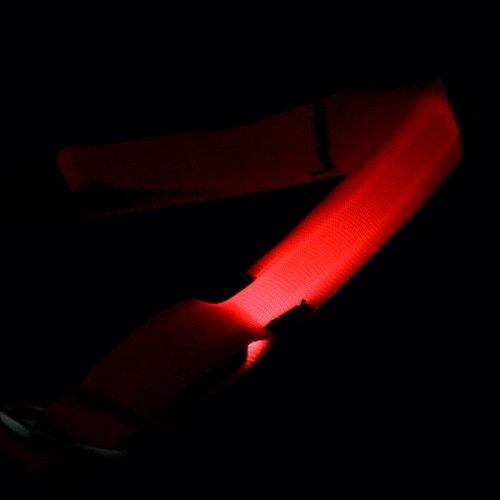 LED Hundehalsband Orange Deluxe L: 59 – 66 cm