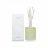 Archipelago Botanicals Excursion Collection Travel Diffuser - Dubai