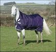 Rambo Wug Heavy Weight Turnout Blanket