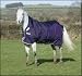 Horseware