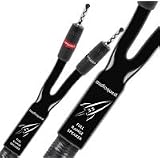AudioQuest Rocket 33 12ft. (Pr.) FR Speaker Cable Terminated with Silver Bananas