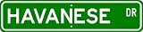 Havanese STREET SIGN ~ High Quality Aluminum ~ Dog Lover