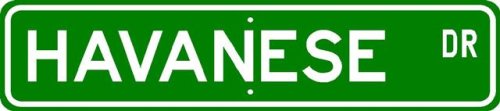 Havanese STREET SIGN ~ High Quality Aluminum ~ Dog Lover