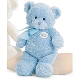 Gund My First Teddy - Blue