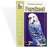Guide To Owning A Parakeets (Budgie)