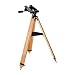 Tele Vue Panoramic Mount with Ashwood Tripod Legs.