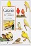 Canarios / Canary: Ver Y Conocer (Spanish Edition)