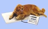 Detecto High Capacity Digital Vet Scale, in Pounds and Kilograms, Model VET-400