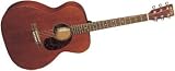 M00015 Acoustic Guitar