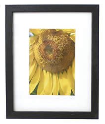Regal Black Wall Frame