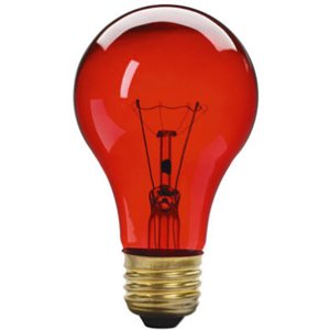 WESTPOINTE 25W Transparent Party - Red