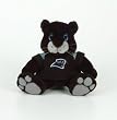 Carolina Panthers 9" Plush Mascot - Football Sports Merchandise