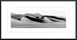 Art Poster Metal Framed Print - Sand Dunes Of Death Valley - Artist: Chris Williamson- Poster Size: 12 X 30