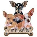 Chihuahua Puppies Adult T-Shirt