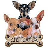Chihuahua Puppies Adult T-Shirt