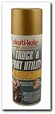 Plastikote Truck and Sport Utility Touch-Up 12 oz. can GM Saddle Code 67/WA8799