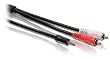 Philips SWA2520T, 3.5mm, 2 x RCA