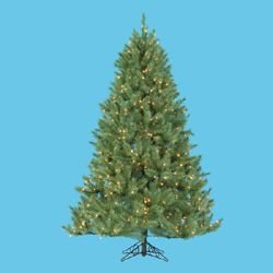 6' Pre-lit Windom Artificial Christmas Pine Tree - Clear Lights