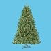 6' Pre-lit Windom Artificial Christmas Pine Tree - Clear Lights