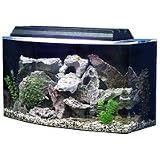 SeaClear Bowfront Aquarium Combo