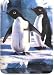 Adelie Penguin Single Switchplate
