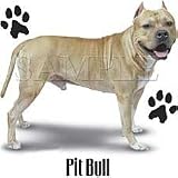 Pit Bull Adult T-Shirt
