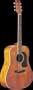 Washburn D11 Dreadnought Acoustic Guitar (Antique Natural)