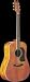 Washburn D11 Dreadnought Acoustic Guitar (Antique Natural)