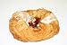 Gourmet Food : Cherry Danish (Spandau)