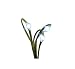 GKI Bethlehem Lighting LED Ultra Thin Wire Battery Operated White 18-Christmas Light Set