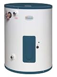 RHEEM 1PZ80 Water Heater,Residential,20 Gal,120 Volt