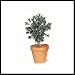20 Inch Outdoor UV Rated Artificial Dark Boxwood Bush