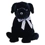 Luke the Beanie Baby