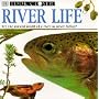 Look Closer: River Life