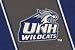 New Hampshire Wildcats 5' 4 x 7' 8 Team Spirit Area Rug