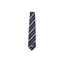 Ravenclaw Necktie