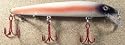 JLVLures JLV Shallow Suspending Minnow Bleeding Albino : Husky Stickbait Lures Saltwater Freshwater Jerk Bass Smallmouth Steelhead Pike Muskie Salmon Trout Snook Striper Perch Whiper Snook Speckled Trevally, Mid- Depth Trolling Casting Hook Treble