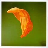 Revue Metamatics  / Spook Tinsel Shoal