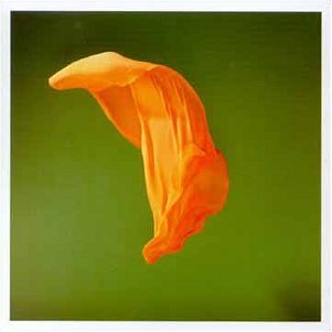 Metamatics - Spook Tinsel Shoal