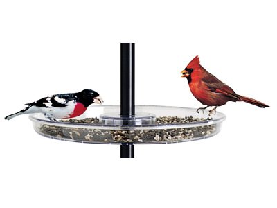 Droll Yankees Universal Seed Tray