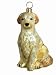 golden retriever - Golden Retriever