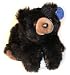 Baby Browser Black Teddy Bear - 12