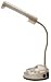 Catalina Lighting FS136I-112 Organizer Desk Lamp, Titanium Finish, 13 High