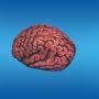 Brain Bloody