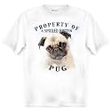 Pug Property Of Adult T Shirt - XL